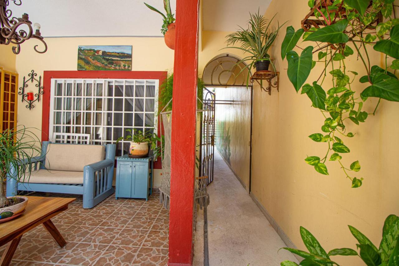 מלון פלאייה דל כרמן La Casa Del Almendro מראה חיצוני תמונה